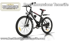 Electric Mountain Bike